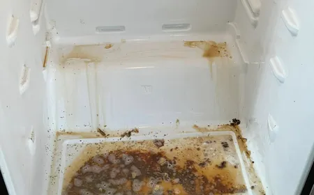 Refrigerator interior with heavy grime before an Ire Cleaning Services deep clean